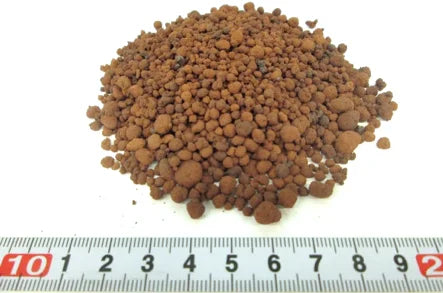 宇宙農業の実現に向けて月の模擬砂を用いた植物栽培実験に成功