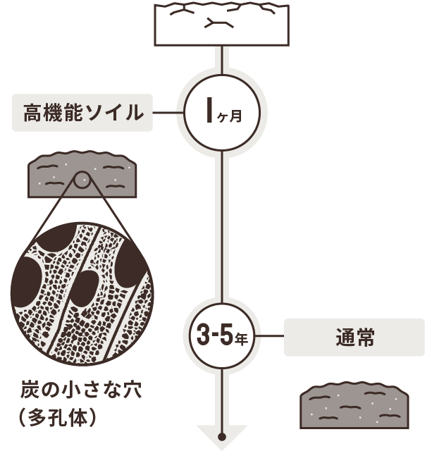 農業の収益安定につながるわずか1ヶ月で超良質な土壌造りができる 図解