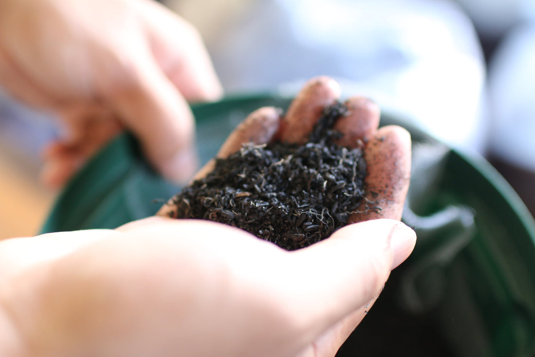 【お知らせ】アグリビジネス創出フェア2025に出展・セミナー登壇します