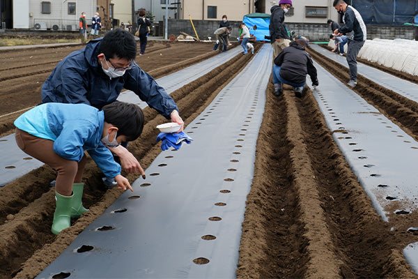 大田市場の青果物仲卸が展開する企業向け農業体験『千菜一遇 農en』が温室効果ガス対策に取り組める『千菜一遇 農en カーボンニュートラル PLUS』を開始
