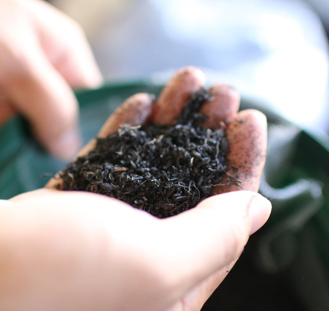 【お知らせ】「第2回フェーズ3基金事業マッチングカンファレンス」に出展します