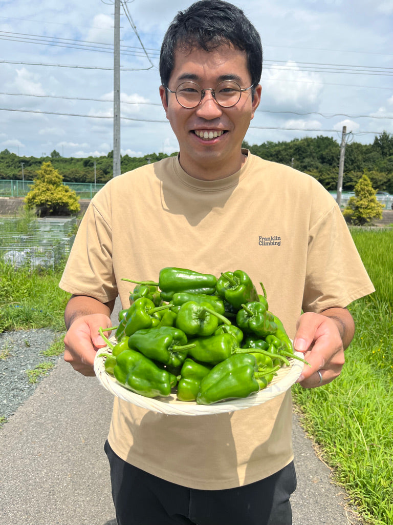 宙ベジ ピーマン 1kg